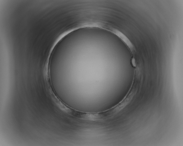 X0000110681052200906191401