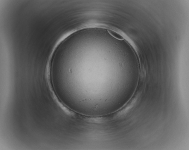 X0000110681053200906191401