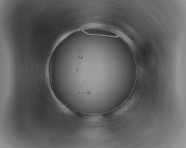 X0000110681055200906191401