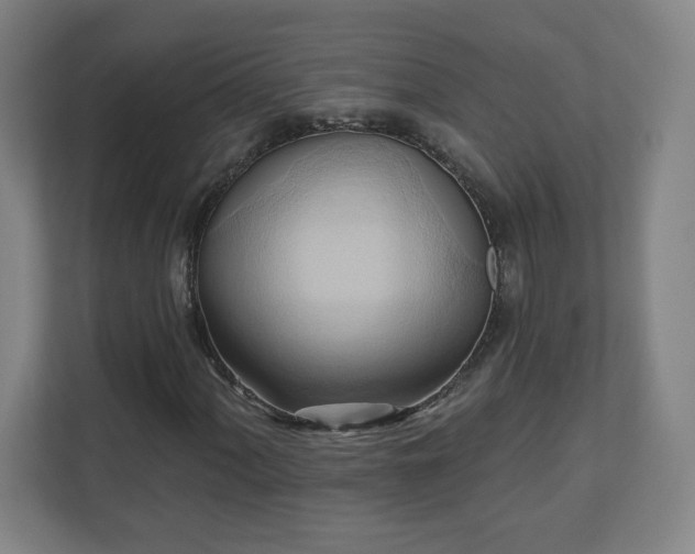 X0000110681060200906191400