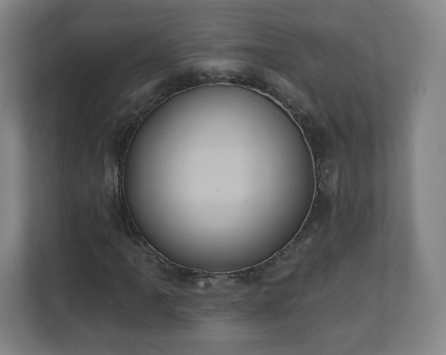 X0000110681061200906191400
