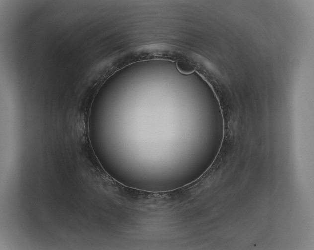 X0000110681062200906191400
