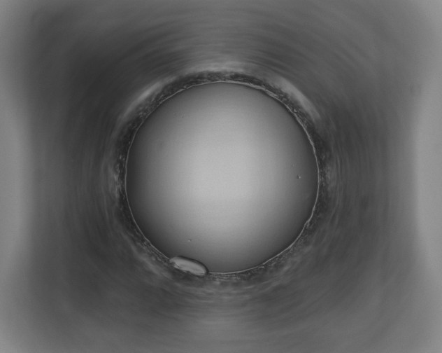 X0000110681064200906191400