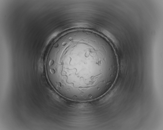 X0000110681067200906191400