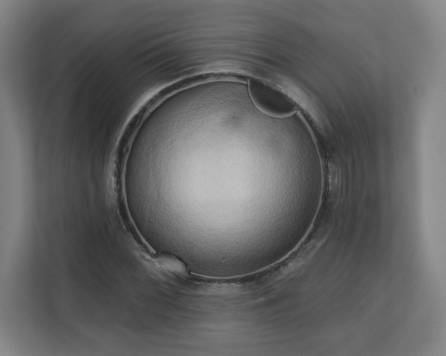 X0000110681068200906191400