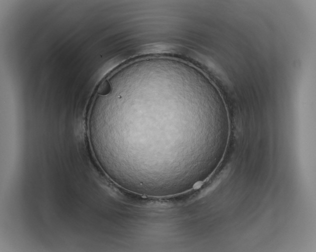 X0000110681073200906191400