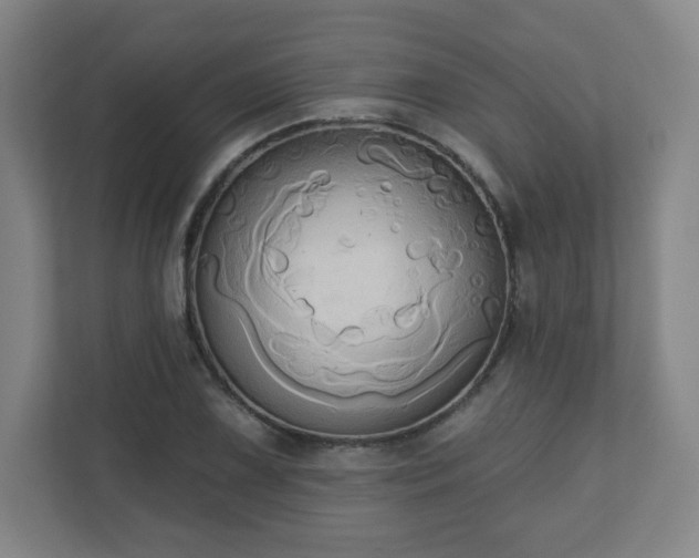 X0000110681075200906191400