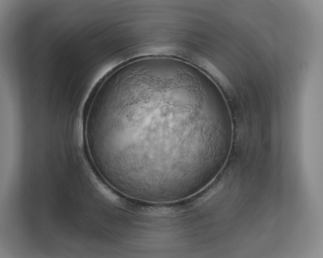 X0000110681079200906191400