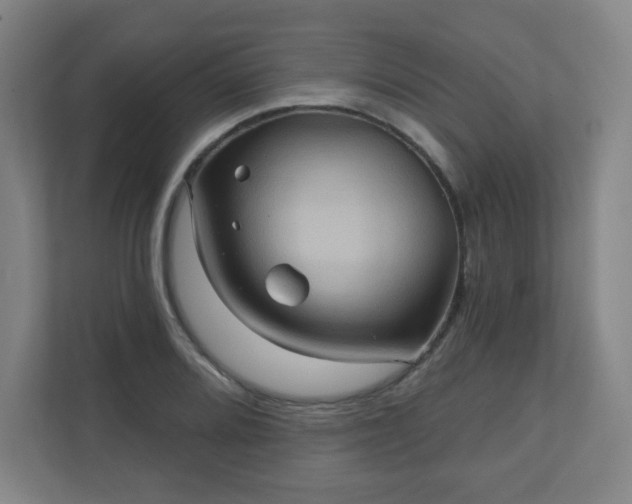 X0000110681080200906191400