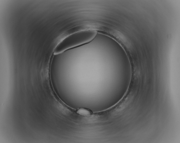 X0000110681081200906191400