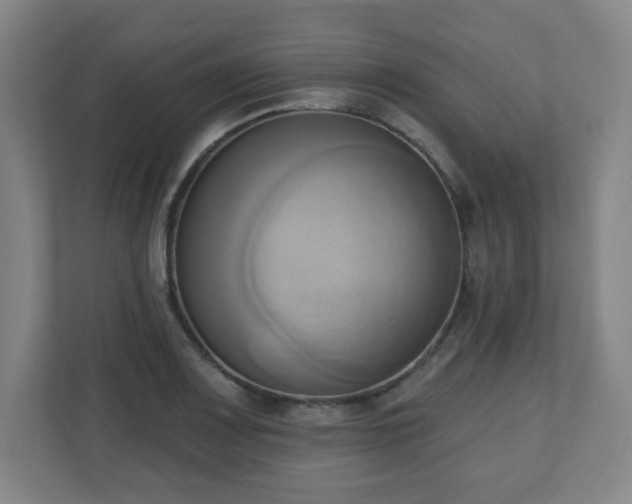 X0000110681083200906191400