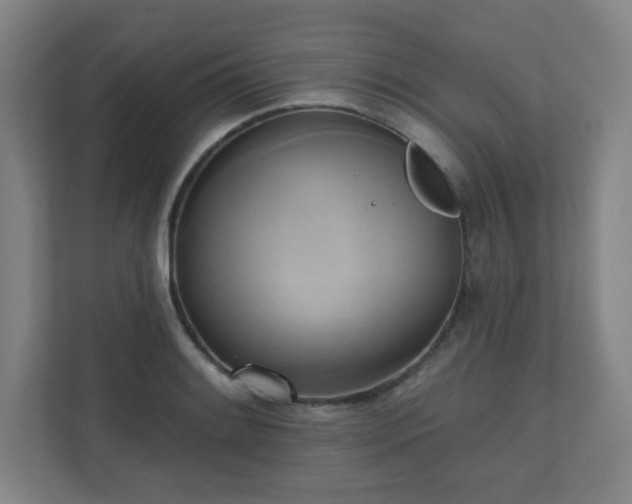 X0000110681084200906191400