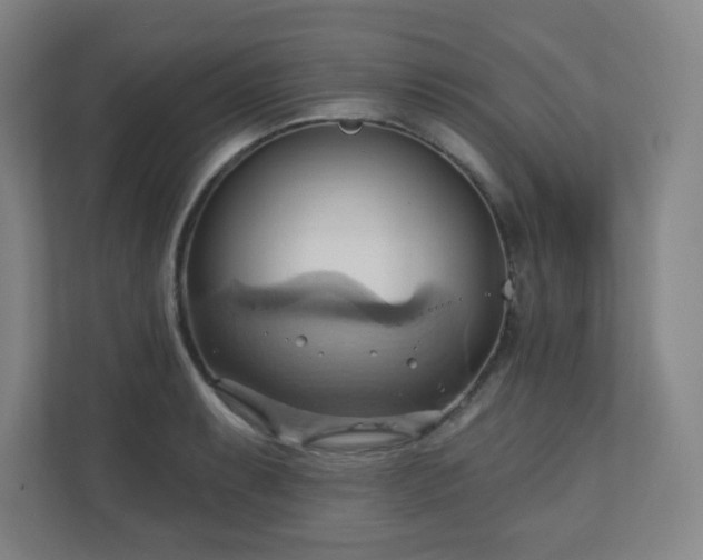 X0000110681087200906191400
