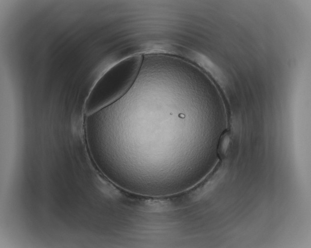 X0000110681089200906191400