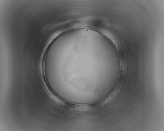X0000110681090200906191400