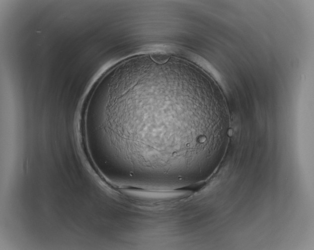 X0000110681091200906191400