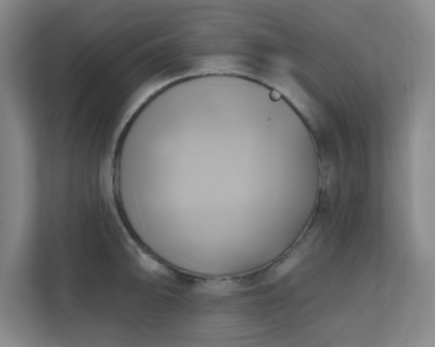 X0000110681094200906191400