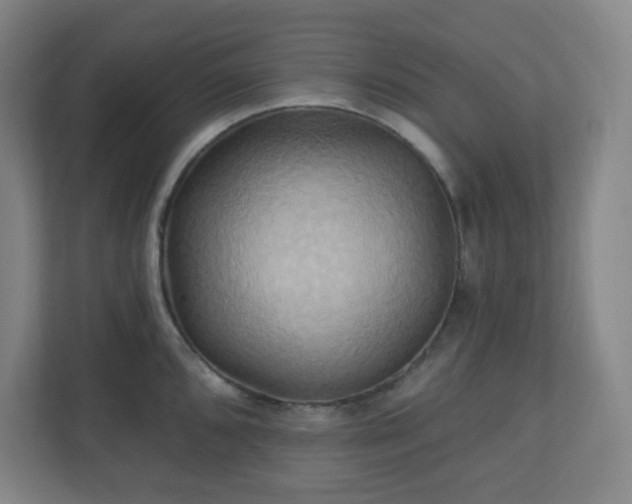 X0000110681096200906191400