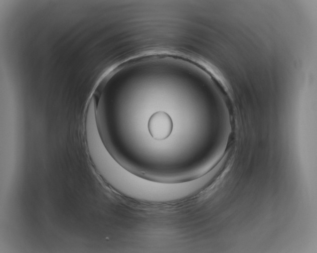 X0000110681097200906191400