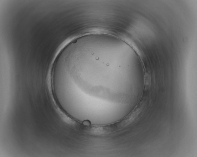 X0000110681098200906191400