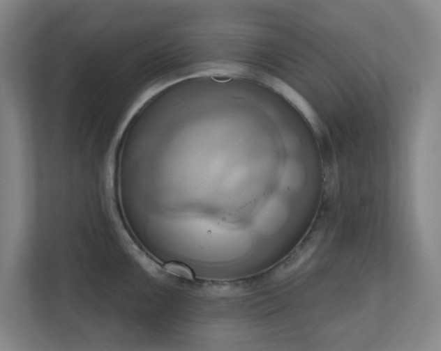 X0000110681099200906191400