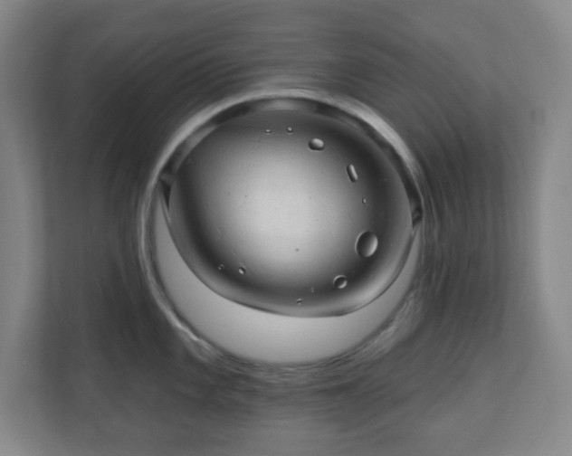 X0000110681101200906191400