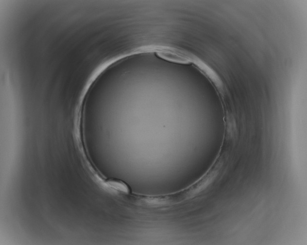 X0000110681102200906191400