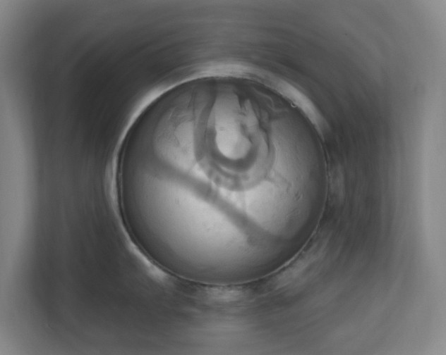 X0000110681103200906191400