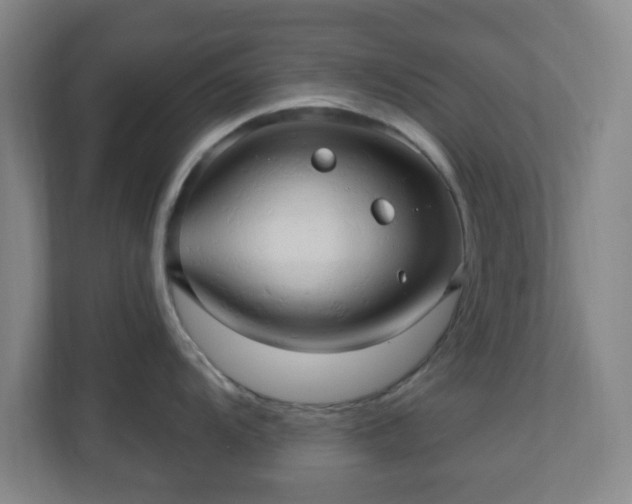 X0000110681104200906191400