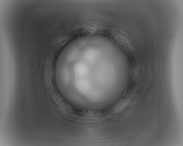 X0000110681105200906191359