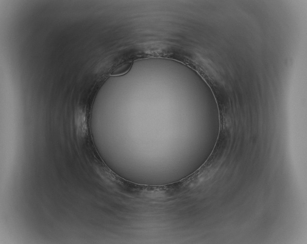 X0000110681106200906191359