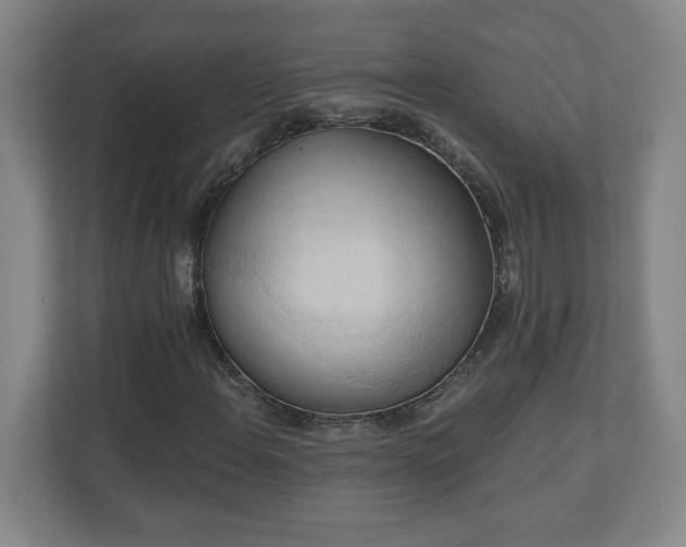 X0000110681108200906191359