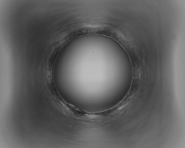 X0000110681109200906191359