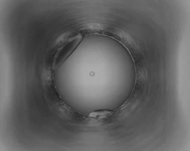 X0000110681110200906191359