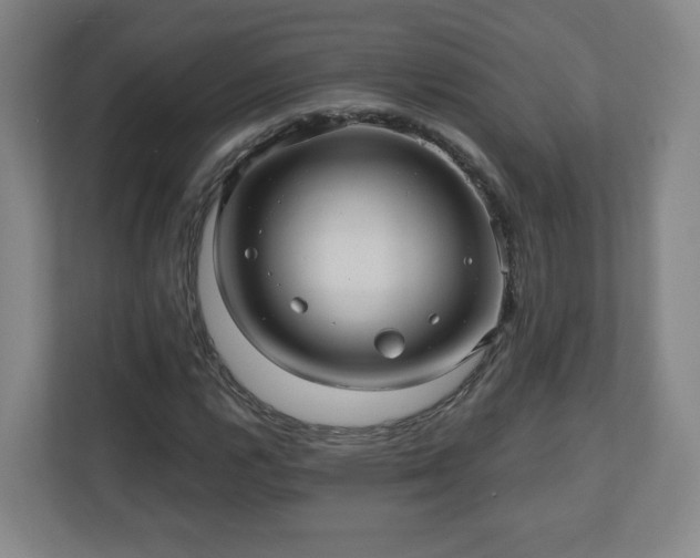 X0000110681112200906191359