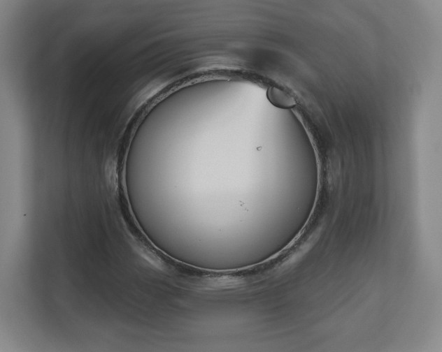 X0000110681113200906191359