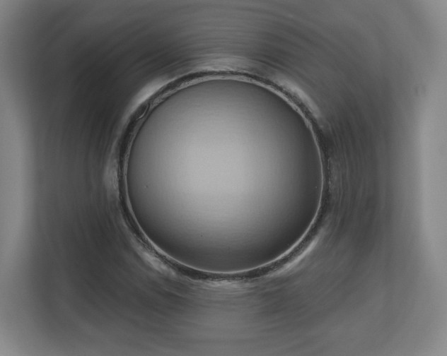 X0000110681114200906191359