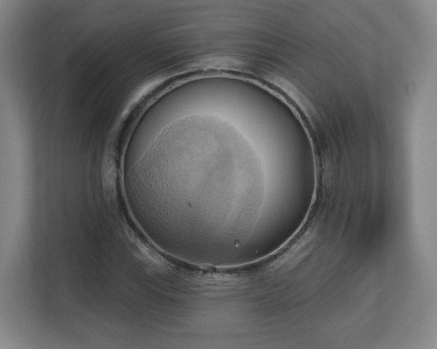 X0000110681115200906191359