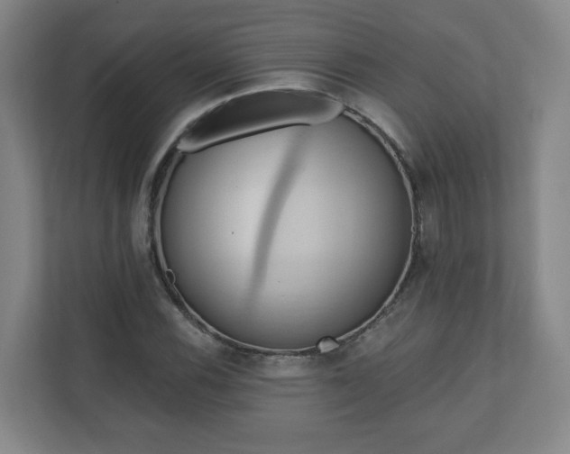X0000110681116200906191359