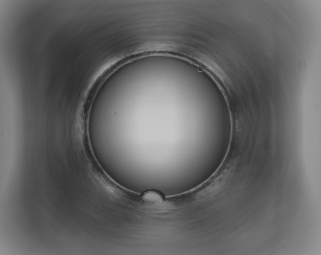 X0000110681119200906191359