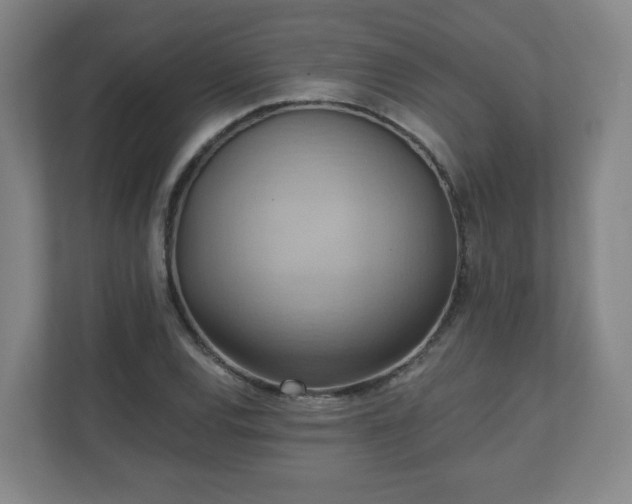 X0000110681120200906191359