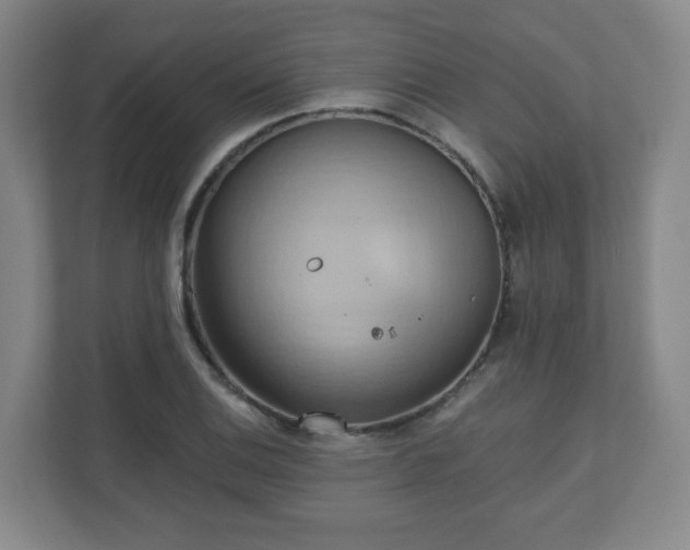 X0000110681124200906191359