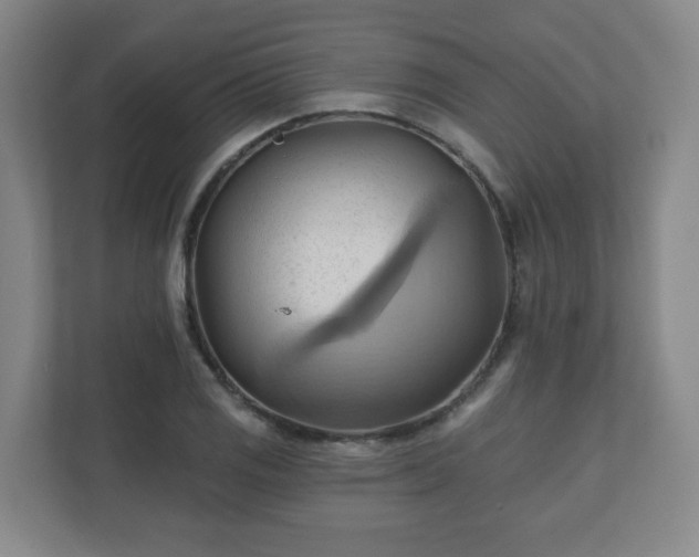 X0000110681125200906191359