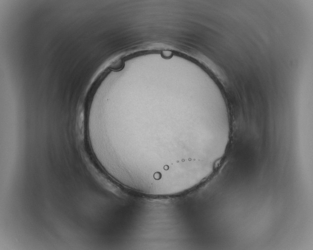 X0000110681126200906191400