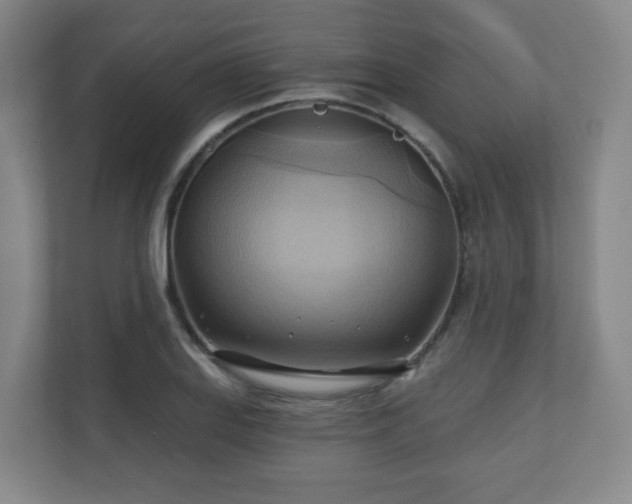 X0000110681127200906191400