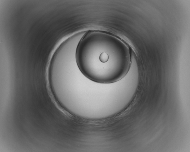 X0000110681128200906191400