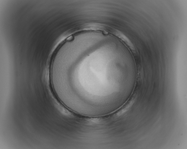 X0000110681130200906191400
