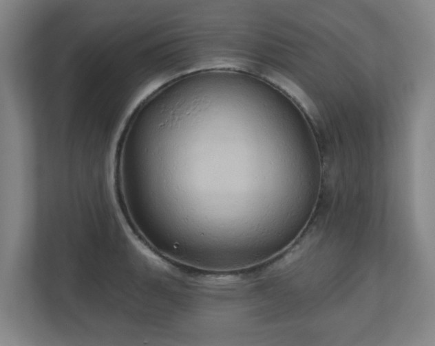 X0000110681135200906191400