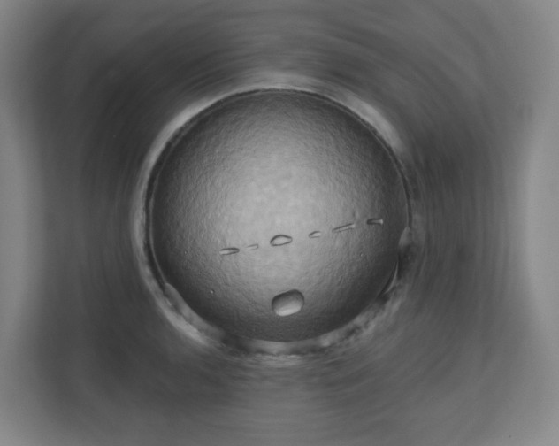 X0000110681136200906191400