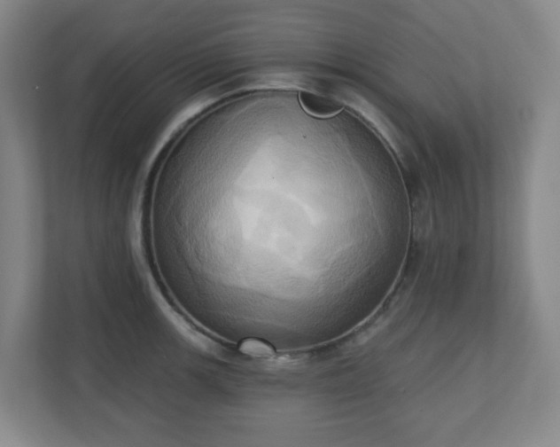 X0000110681139200906191400